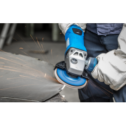 Pferd lamelskive SG (STEELLOX) 125 mm.