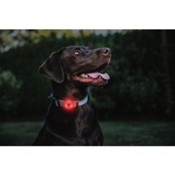 COAST SL1R -Genopladelig Multifunktionel sikkerhedslygte